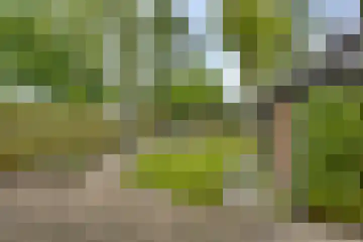 Venusstraat 16 Emmeloord thumbnail 31