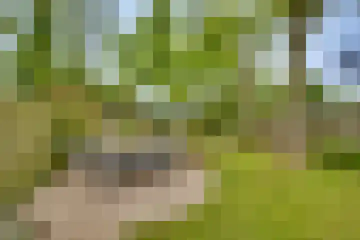 Venusstraat 16 Emmeloord thumbnail 32