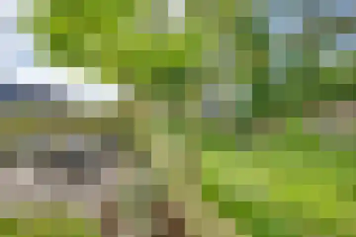 Venusstraat 16 Emmeloord thumbnail 33