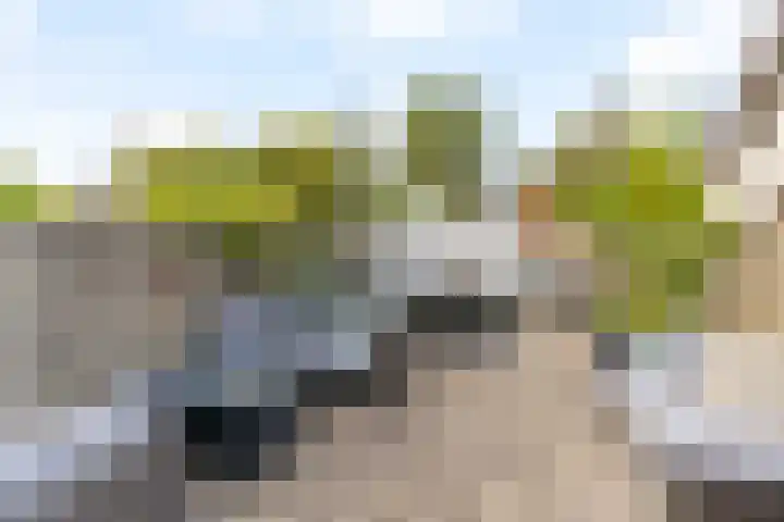 Venusstraat 16 Sassenheim thumbnail 10