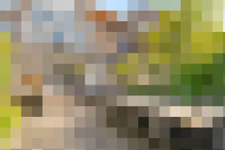Venusstraat 16 Sassenheim thumbnail 12