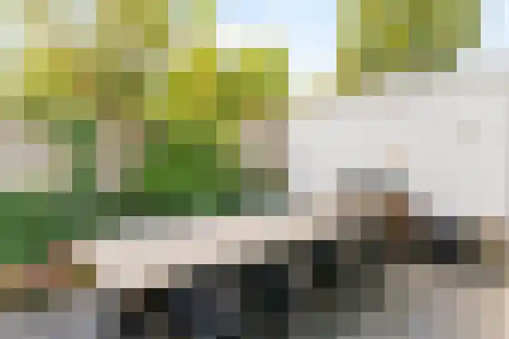 Venusstraat 16 Sassenheim thumbnail 13