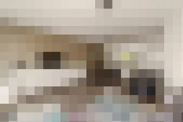 Venusstraat 16 Sassenheim thumbnail 16