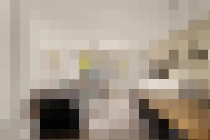 Venusstraat 16 Sassenheim thumbnail 17