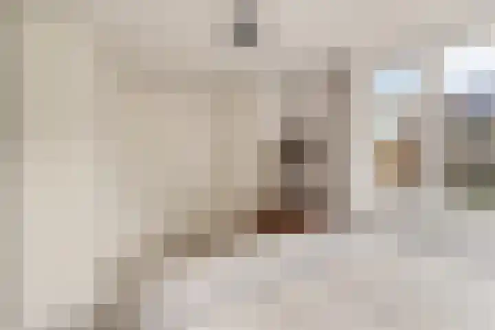 Venusstraat 16 Sassenheim thumbnail 25