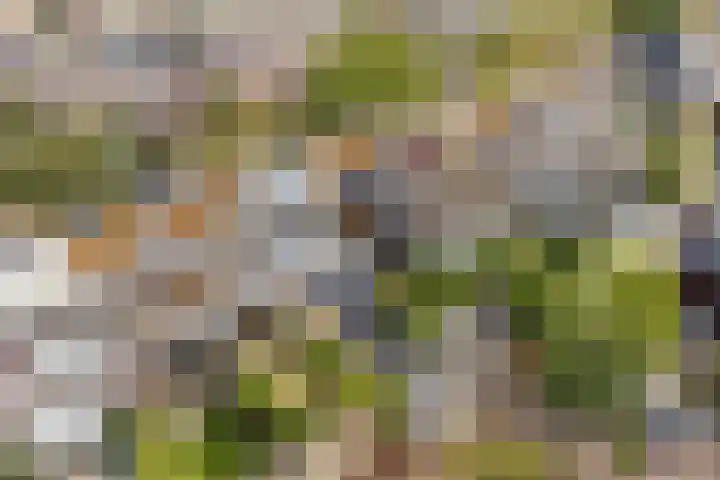 Venusstraat 16 Sassenheim thumbnail 35