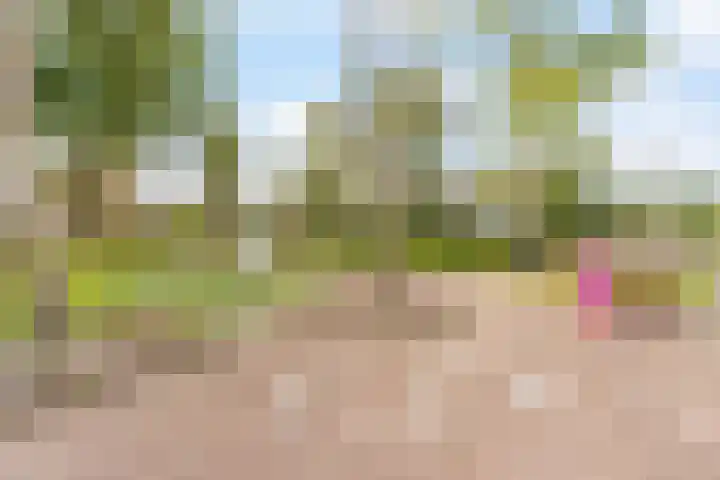 Venusstraat 16 Sassenheim thumbnail 38
