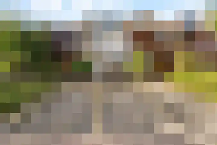 Venusstraat 16 Sassenheim thumbnail 4