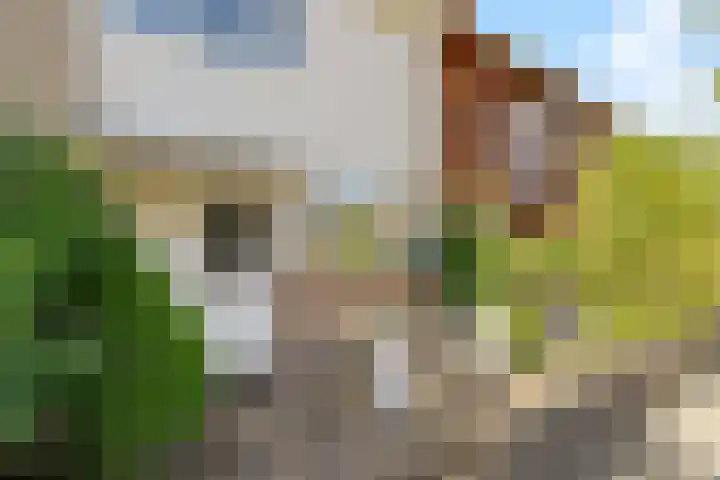 Venusstraat 16 Sassenheim thumbnail 5