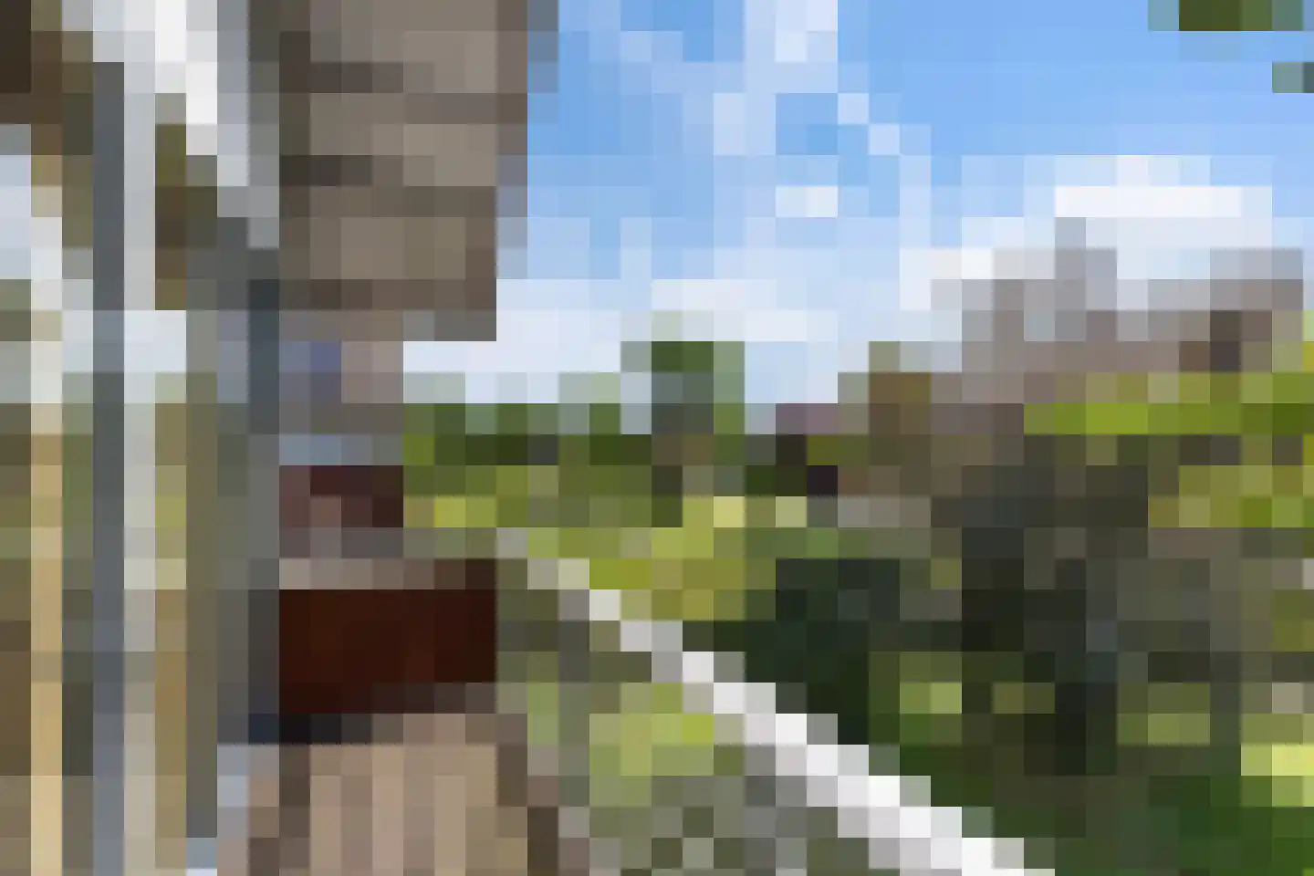 Venusstraat 2 A Zwijndrecht thumbnail 22