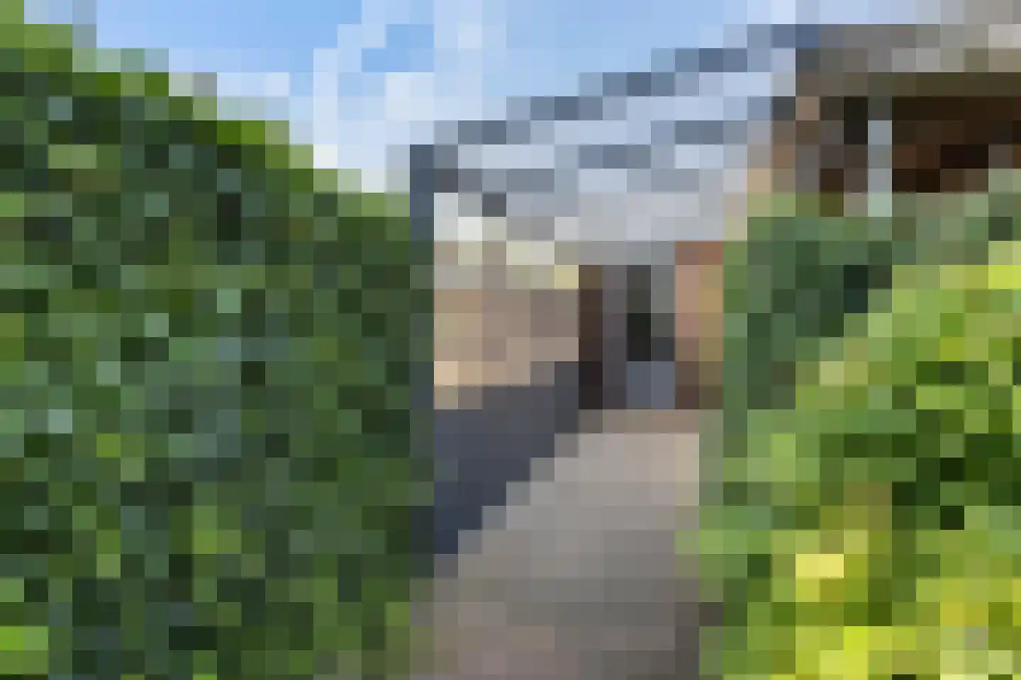 Venusstraat 2 A Zwijndrecht thumbnail 28