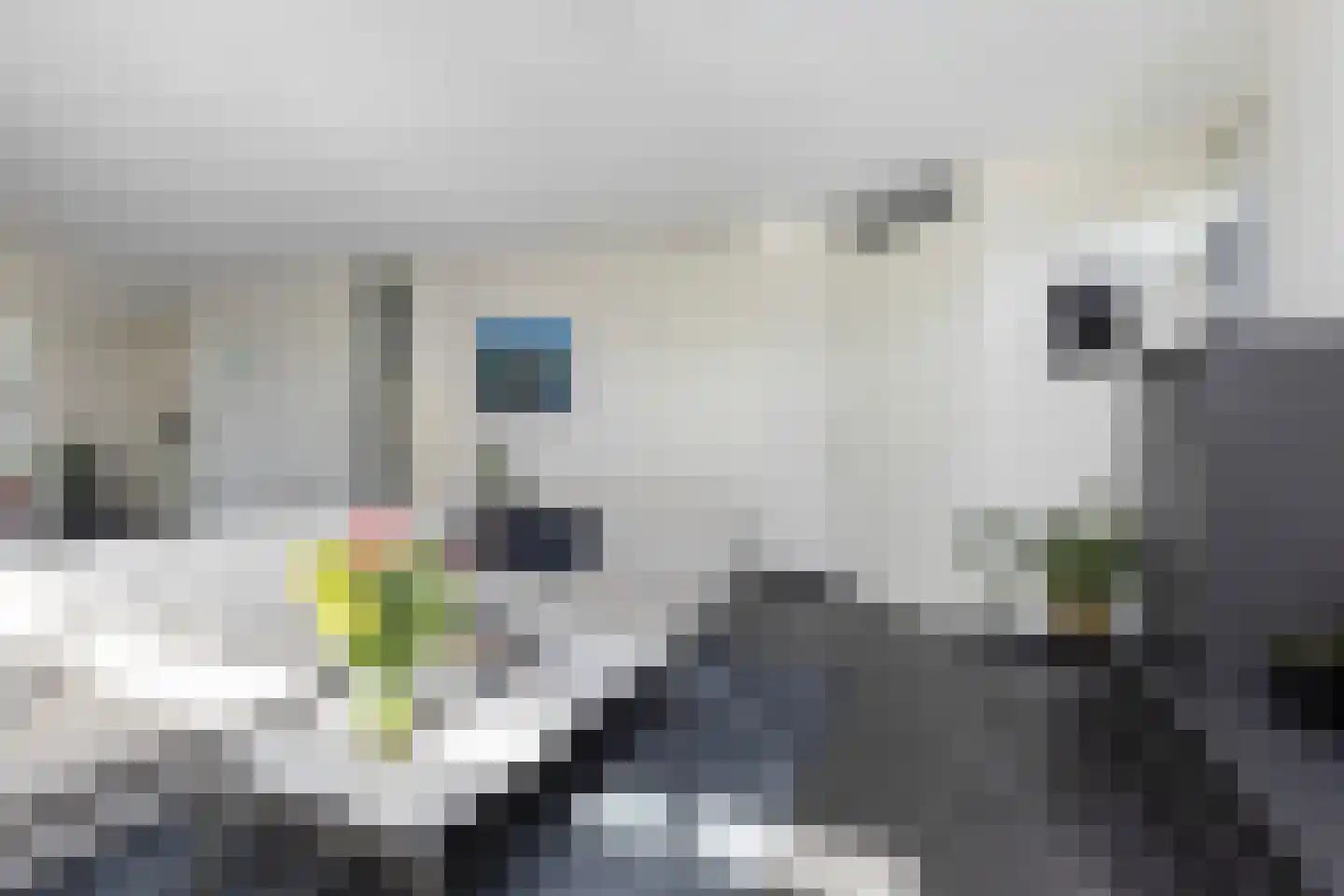Venusstraat 2 A Zwijndrecht thumbnail 6