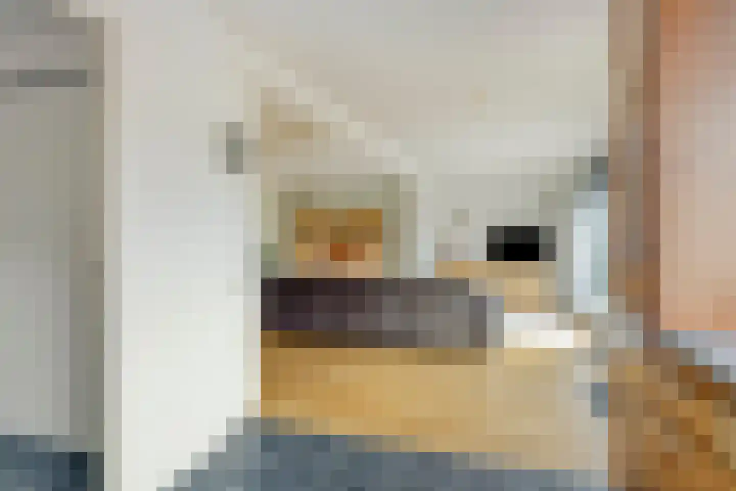 Venusstraat 2 Nijmegen thumbnail 14