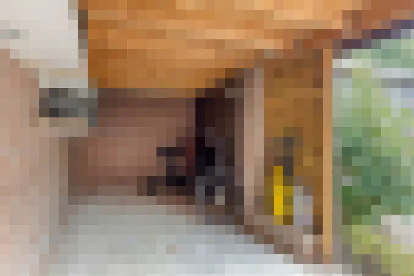 Venusstraat 2 Nijmegen thumbnail 27