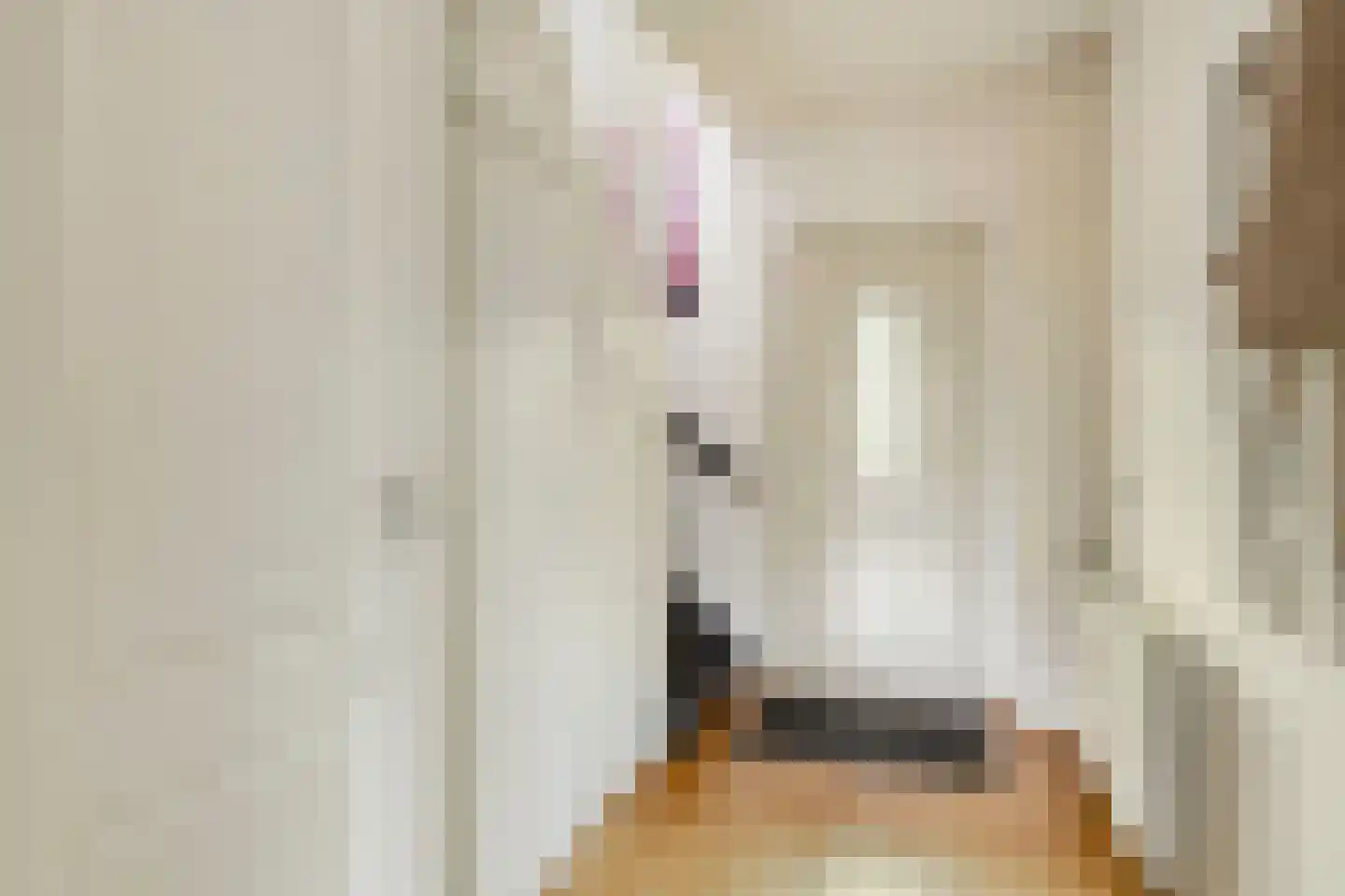 Venusstraat 2 Nijmegen thumbnail 6