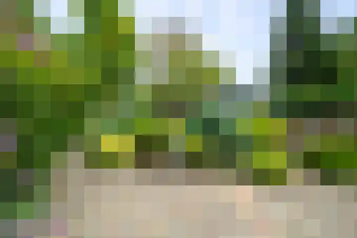Venusstraat 20 Wieringerwerf thumbnail 24