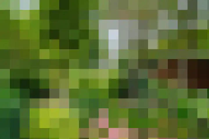 Venusstraat 20 Wieringerwerf thumbnail 25
