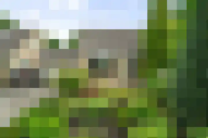 Venusstraat 20 Wieringerwerf thumbnail 6