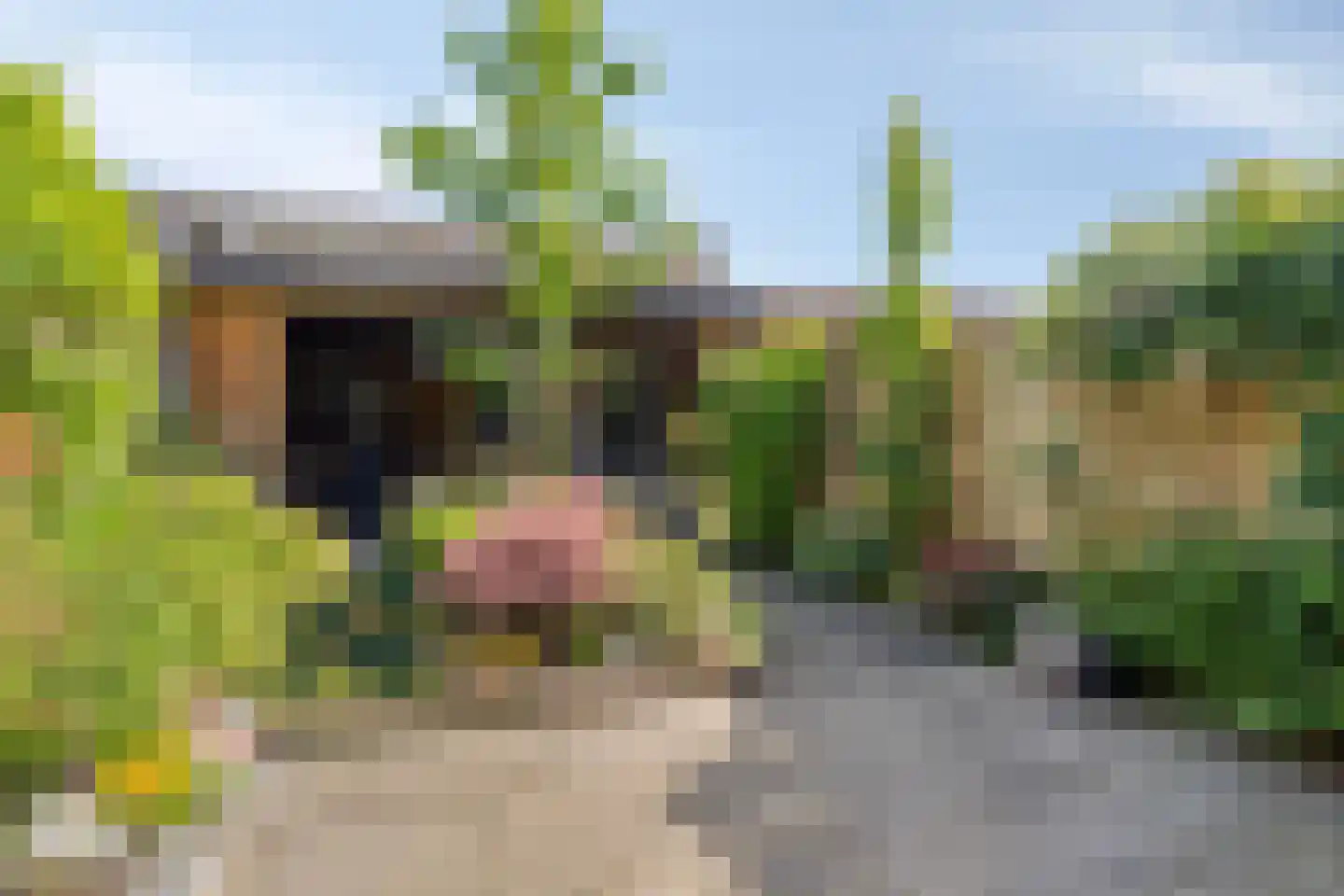 Venusstraat 21 Zwijndrecht thumbnail 33