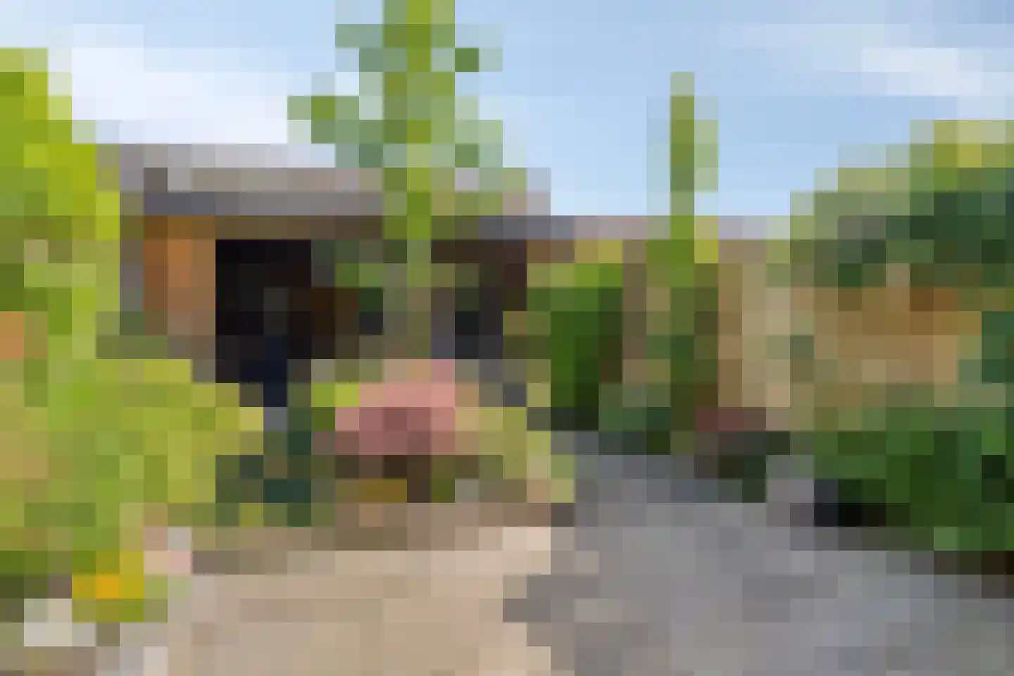 Venusstraat 21 Zwijndrecht thumbnail 33