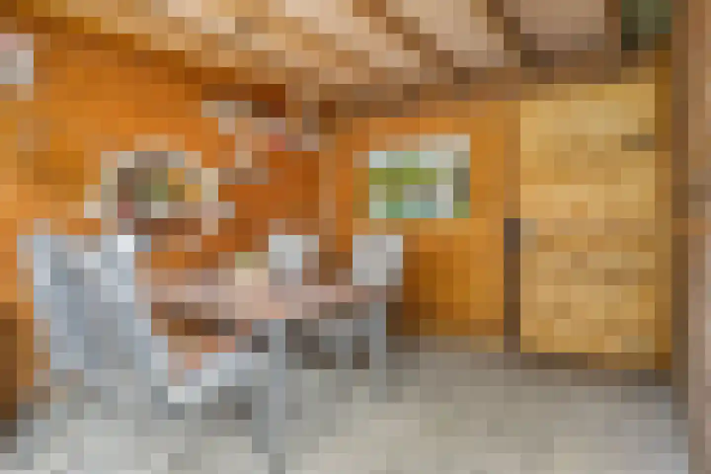Venusstraat 21 Zwijndrecht thumbnail 34