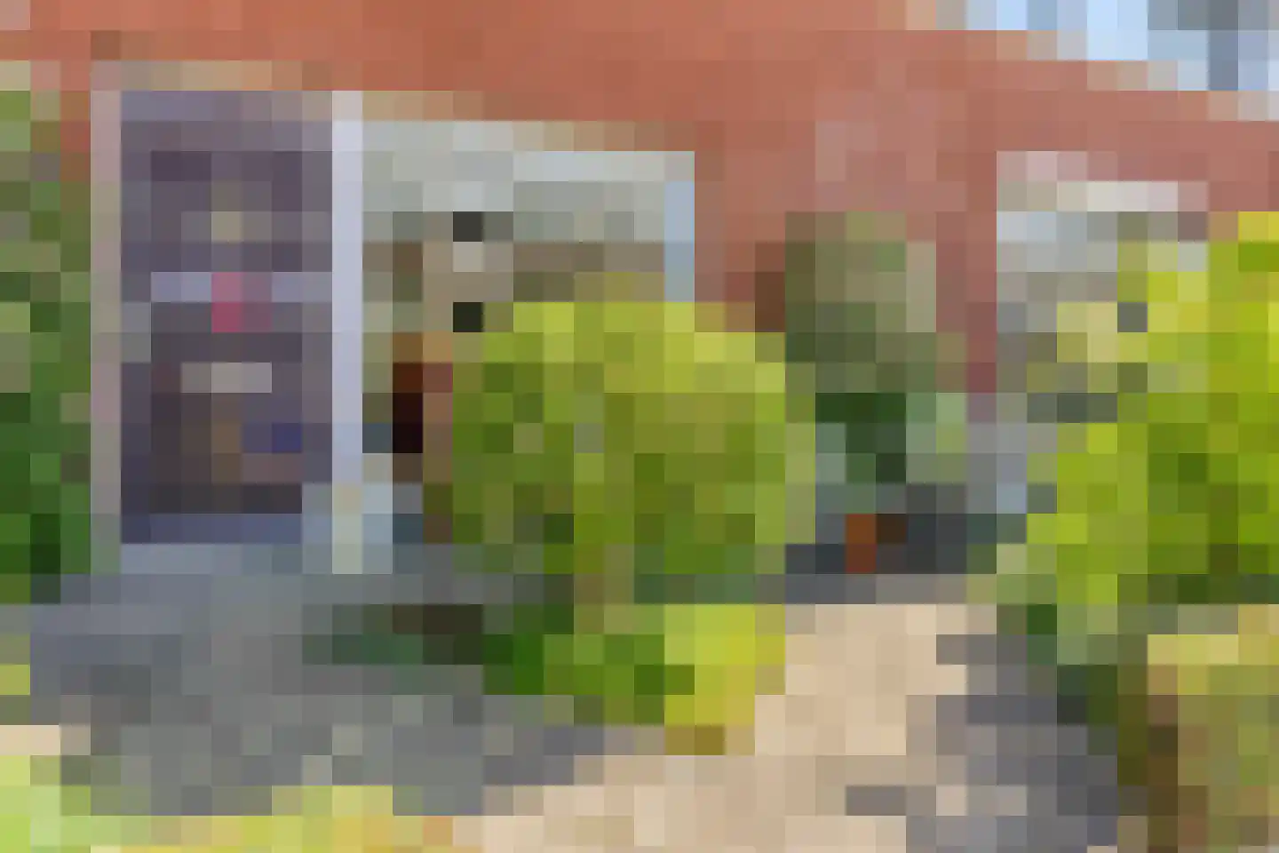 Venusstraat 21 Zwijndrecht thumbnail 5
