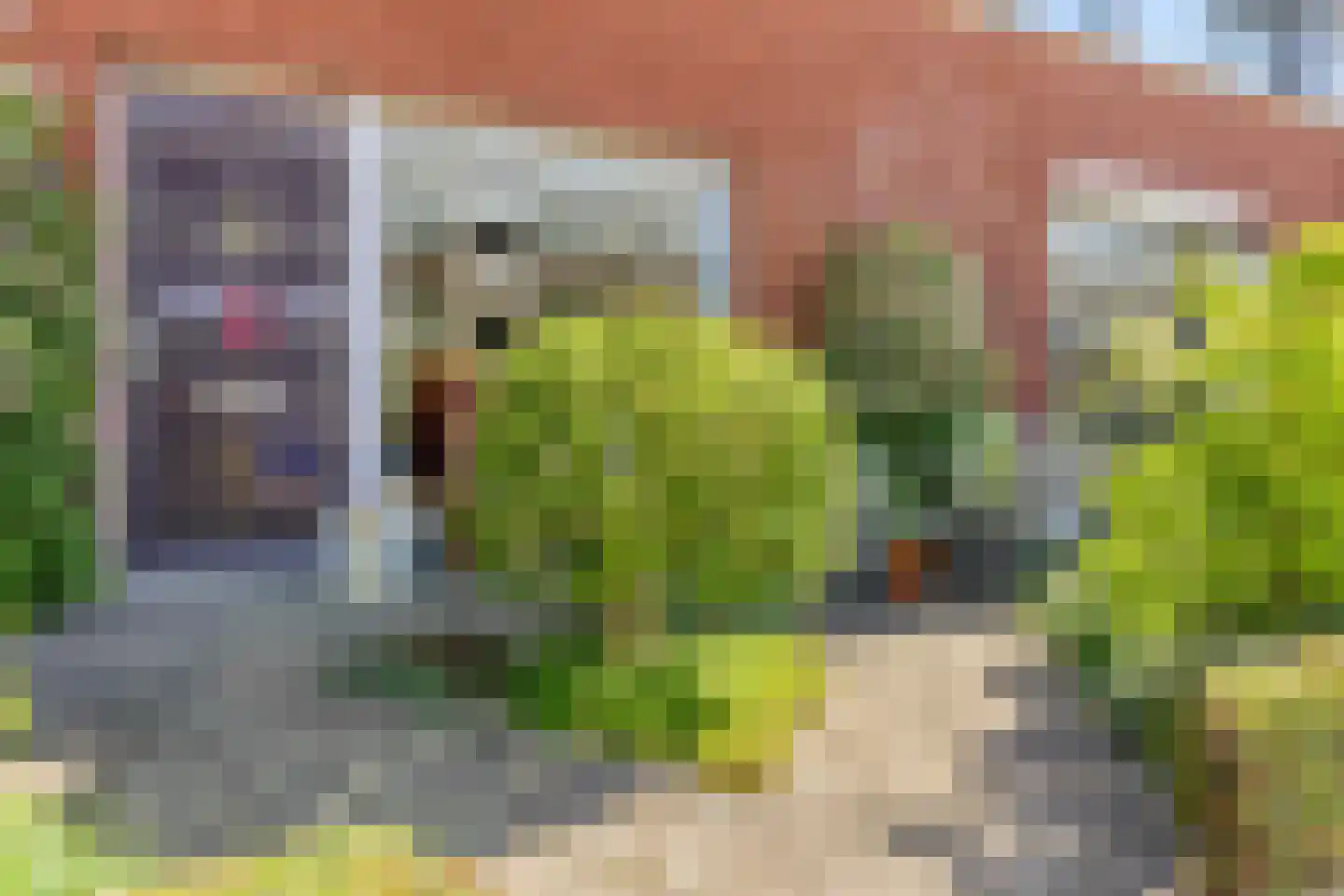 Venusstraat 21 Zwijndrecht thumbnail 5
