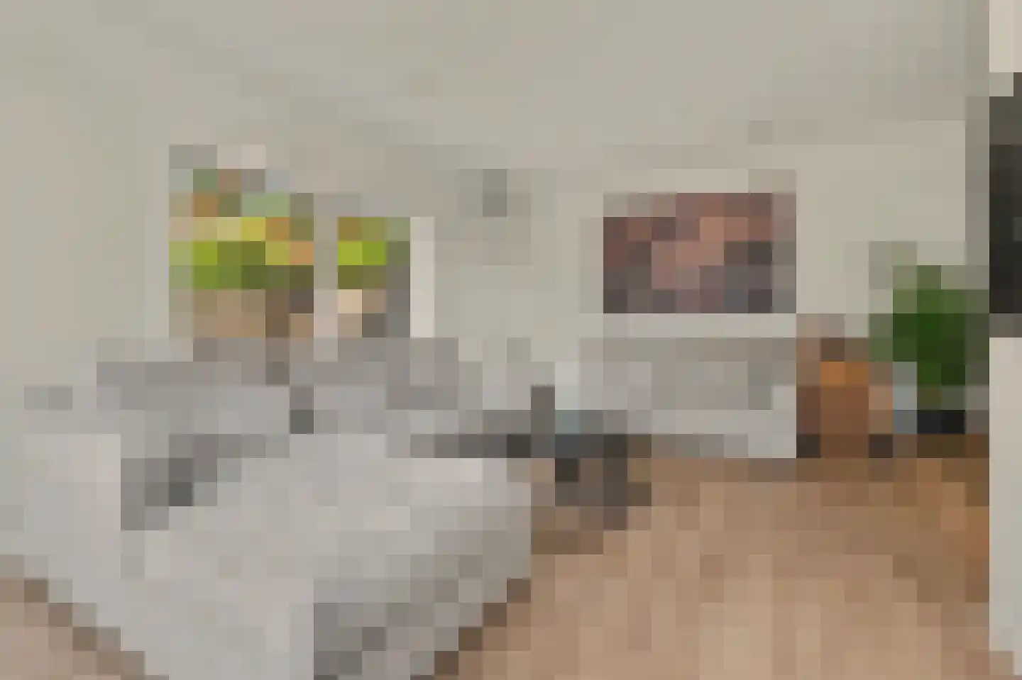 Venusstraat 22 Dongen thumbnail 18