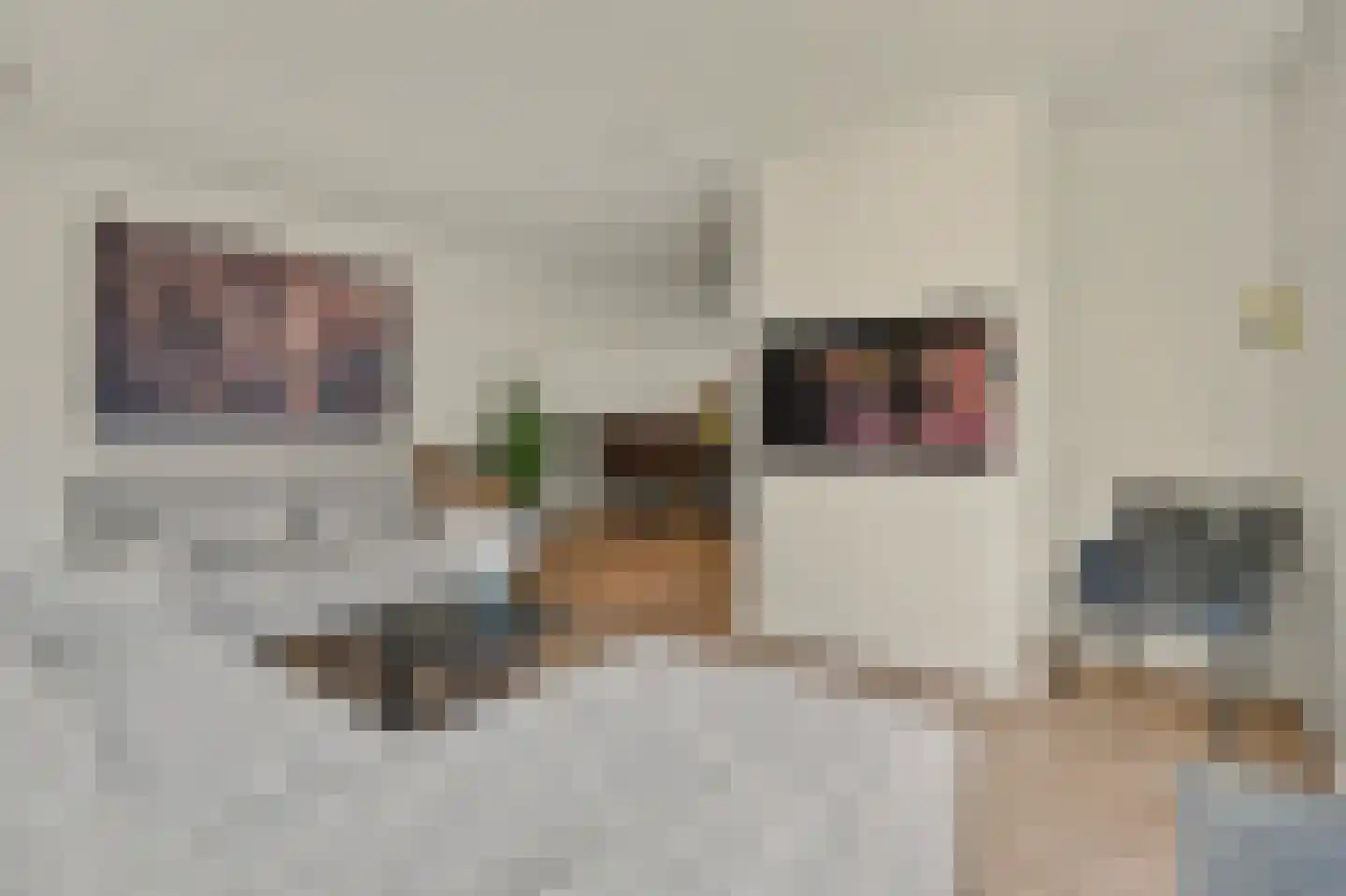Venusstraat 22 Dongen thumbnail 19