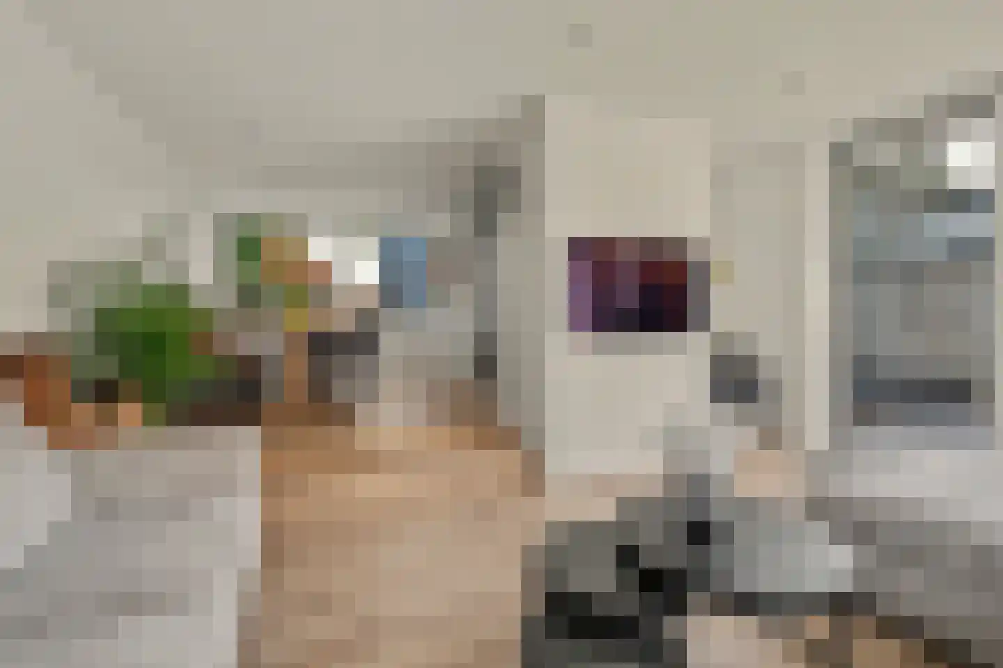 Venusstraat 22 Dongen thumbnail 20