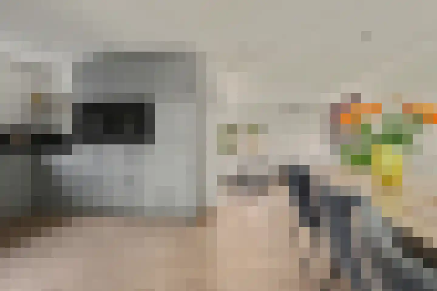 Venusstraat 22 Dongen thumbnail 22