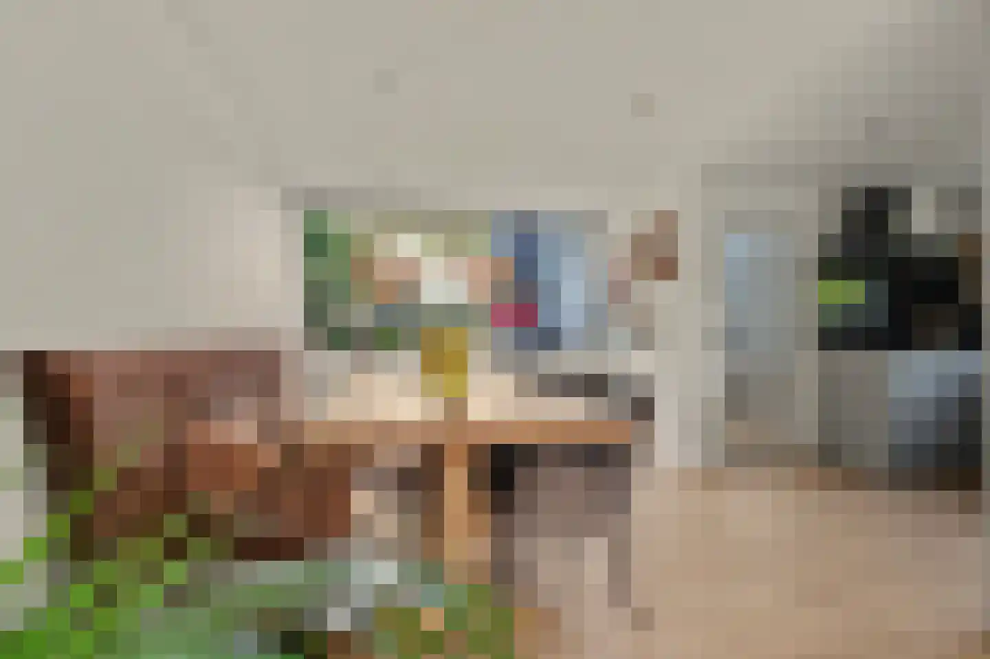 Venusstraat 22 Dongen thumbnail 24