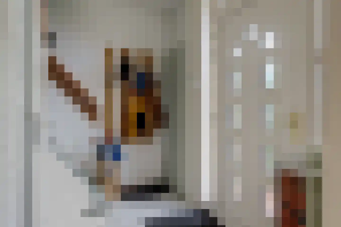 Venusstraat 24 Wieringerwerf thumbnail 8