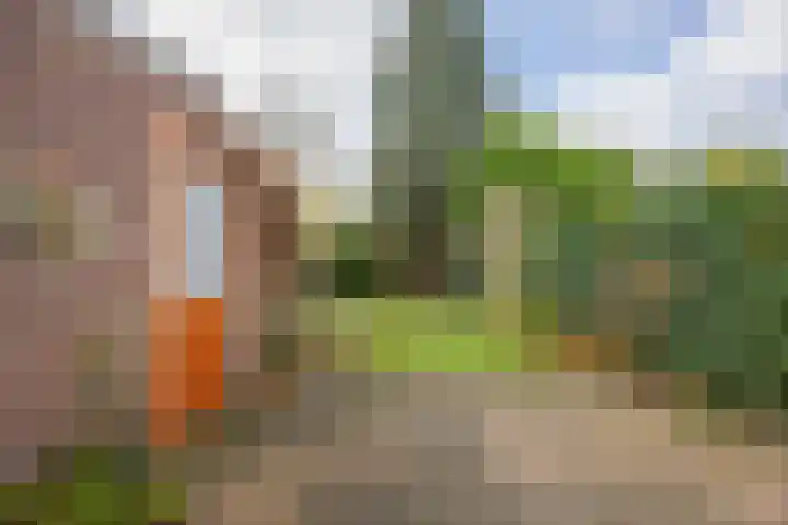 Venusstraat 25 Nijmegen thumbnail 25