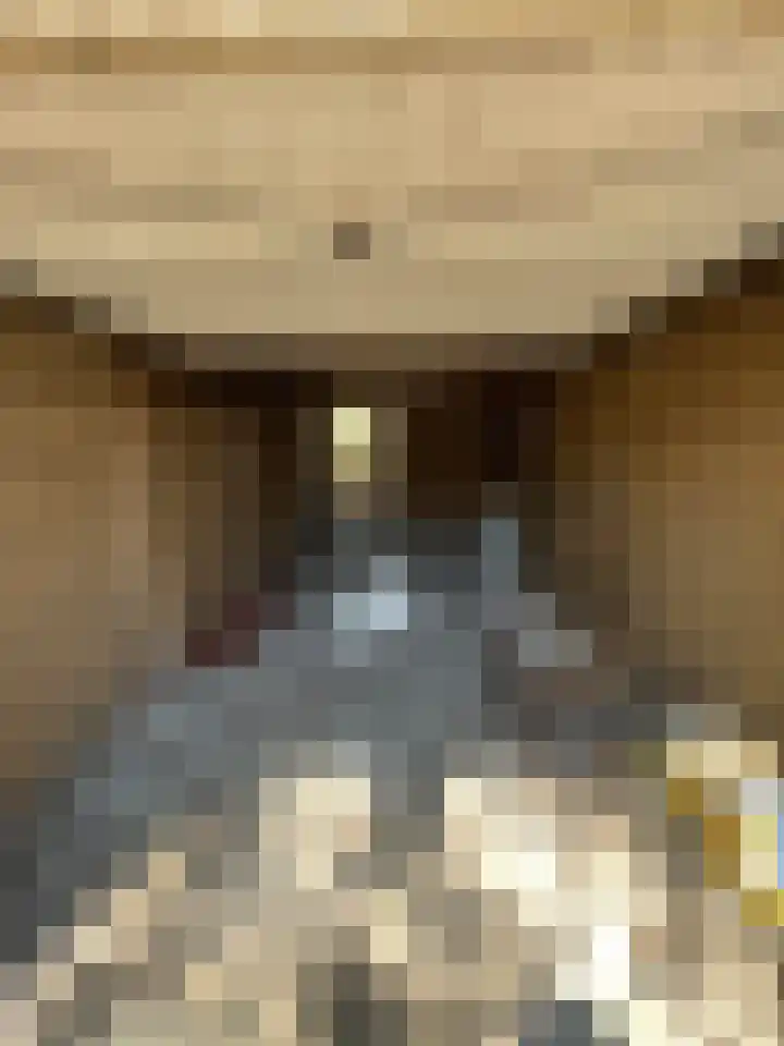 Venusstraat 25 Roermond thumbnail 32