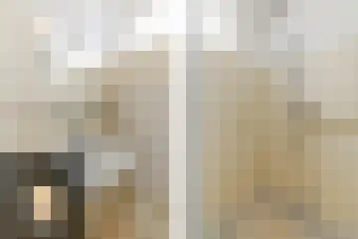 Venusstraat 28 Rockanje thumbnail 22