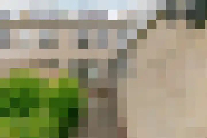 Venusstraat 28 Rockanje thumbnail 30