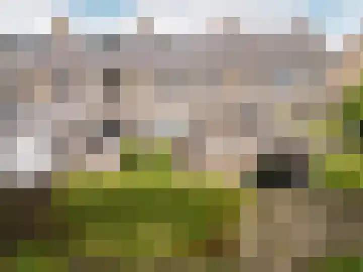 Venusstraat 28 Rockanje thumbnail 32
