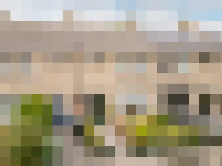 Venusstraat 28 Rockanje thumbnail 36