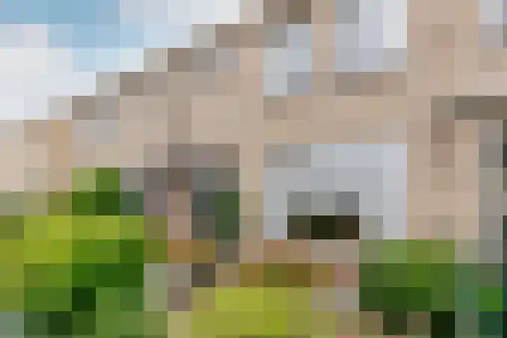 Venusstraat 28 Rockanje thumbnail 6