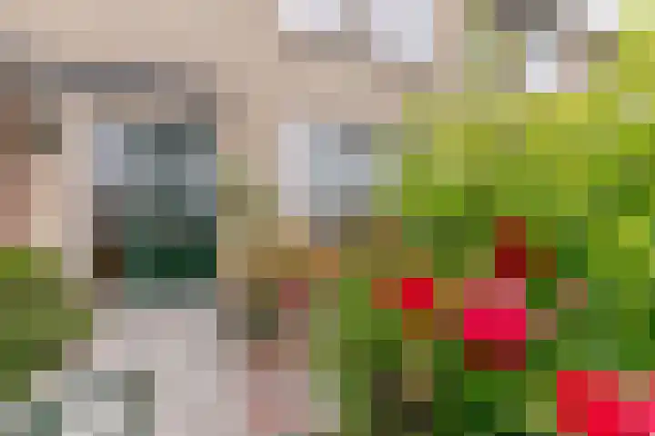 Venusstraat 28 Rockanje thumbnail 7