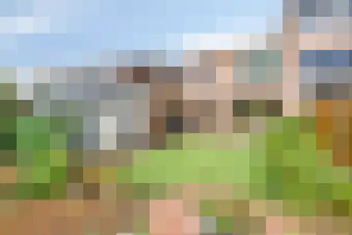 Venusstraat 3 Nijmegen thumbnail 25