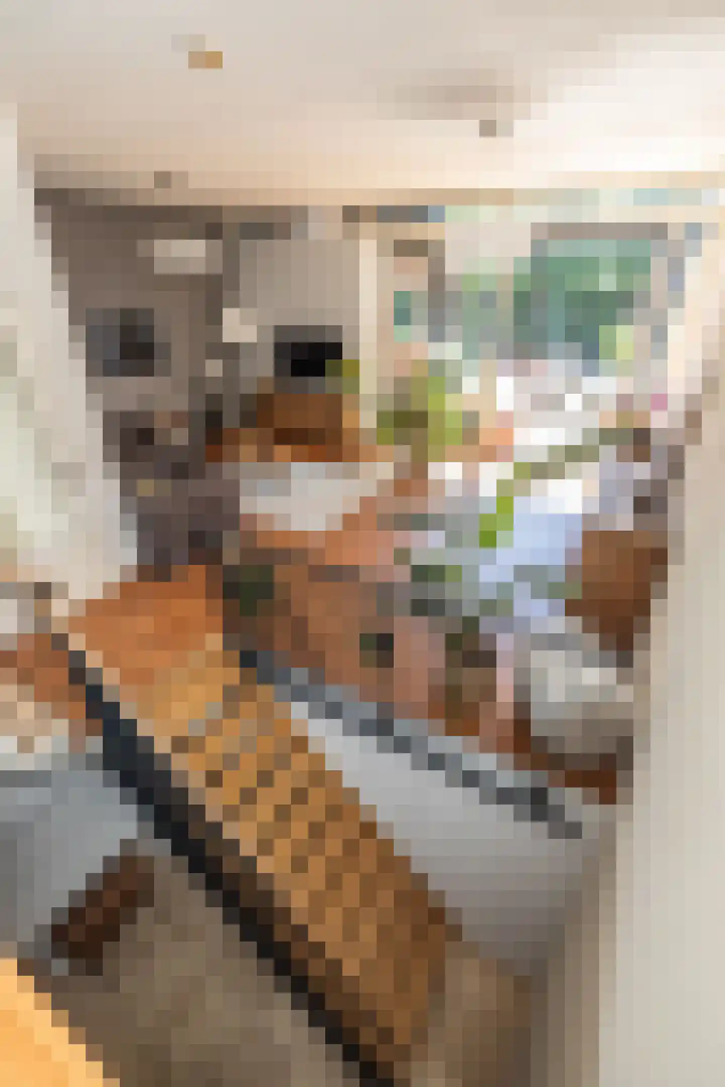 Venusstraat 32 Leiden thumbnail 17
