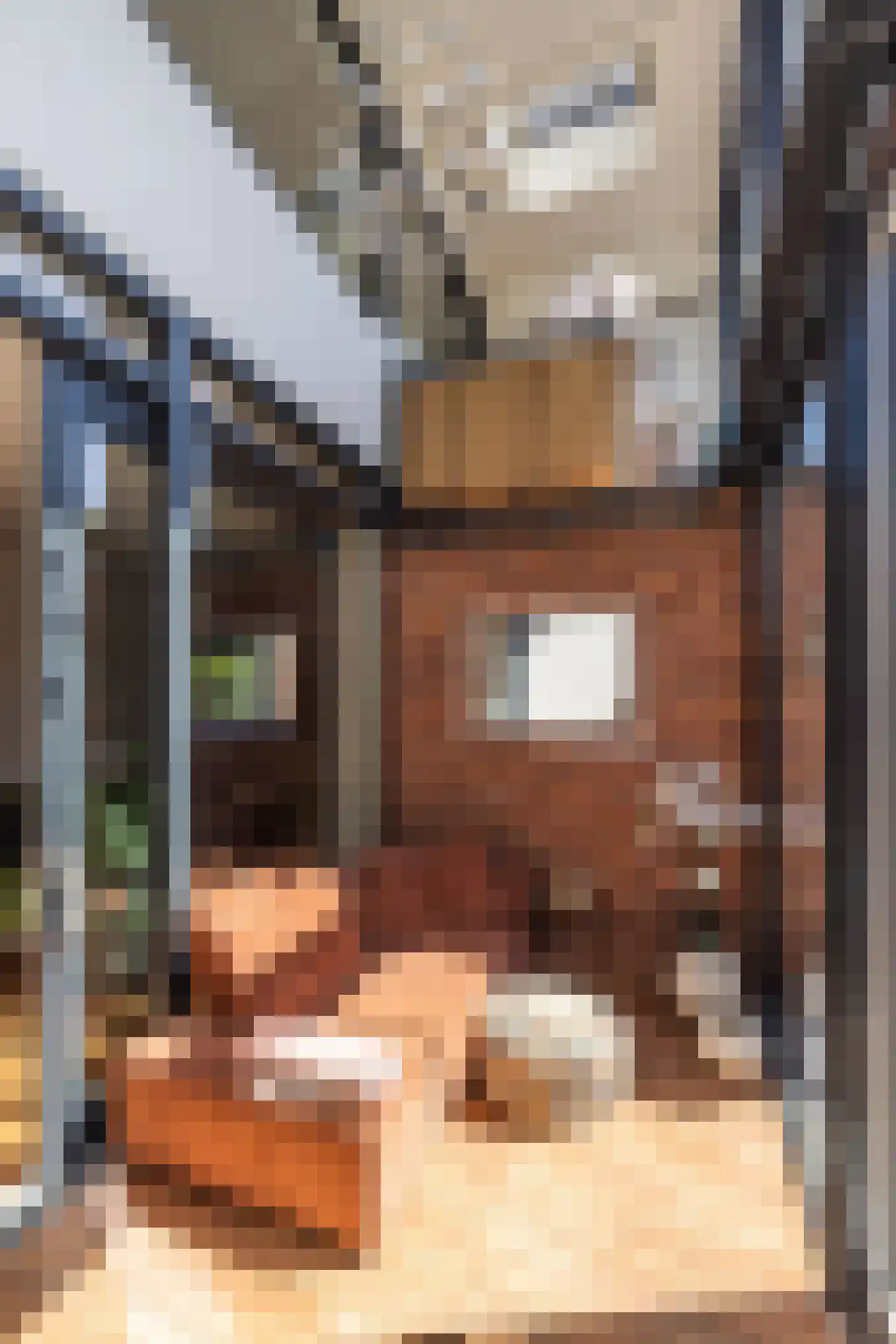 Venusstraat 32 Leiden thumbnail 24