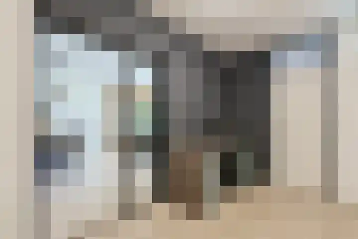 Venusstraat 326 Alphen aan den Rijn thumbnail 22