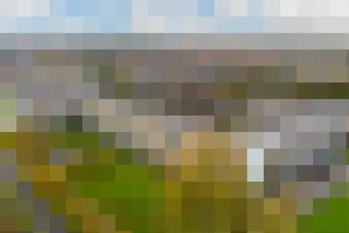 Venusstraat 346 Alphen aan den Rijn thumbnail 4