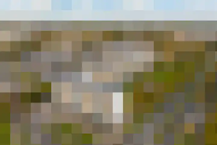 Venusstraat 346 Alphen aan den Rijn thumbnail 40