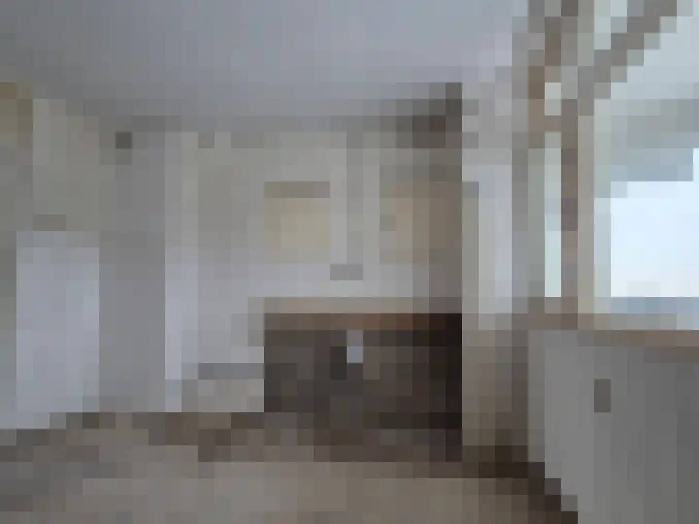 Venusstraat 358 Alphen aan den Rijn thumbnail 8