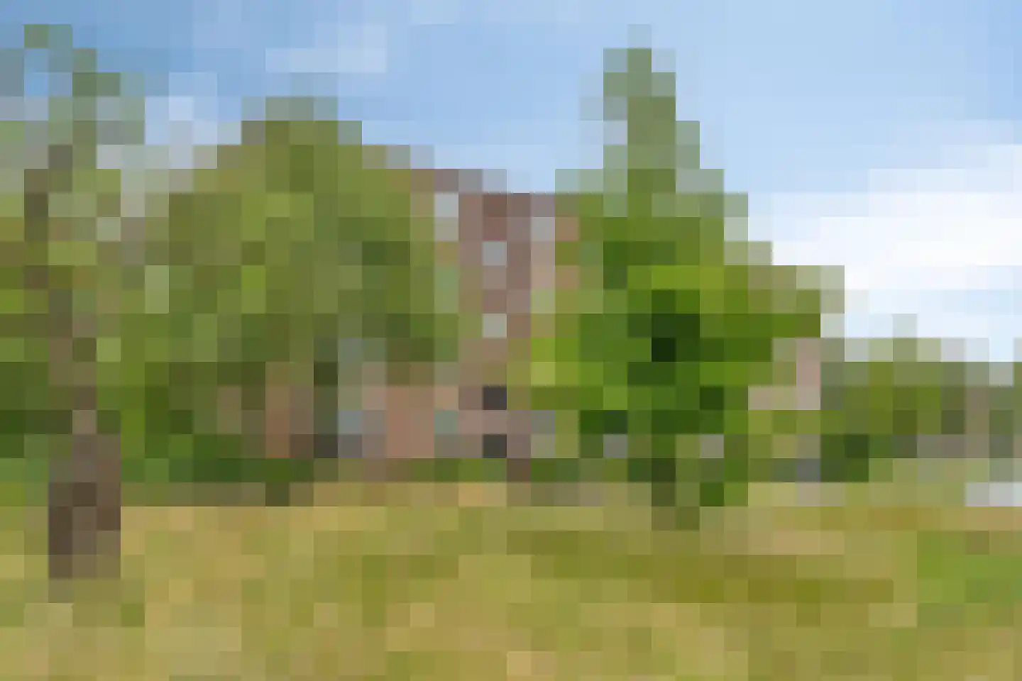 Venusstraat 36 Nijmegen thumbnail 21
