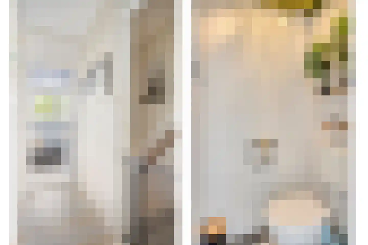Venusstraat 36 Roermond thumbnail 20